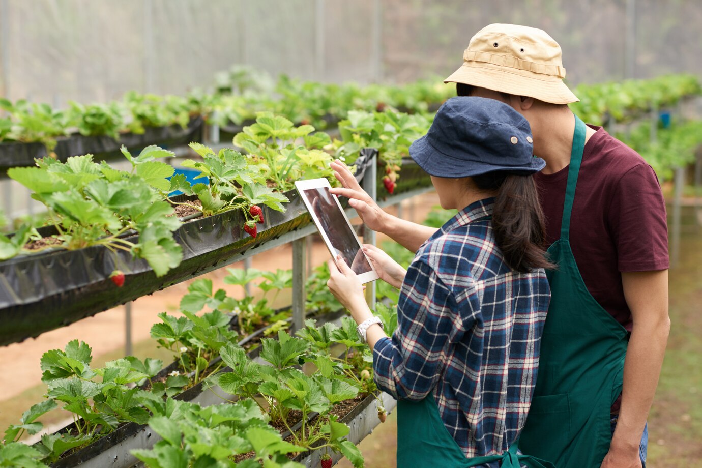 Agriculture & Agri-Tech