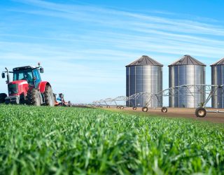 Agriculture & Export