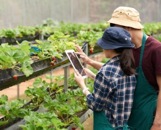 Agriculture & Agri-Tech